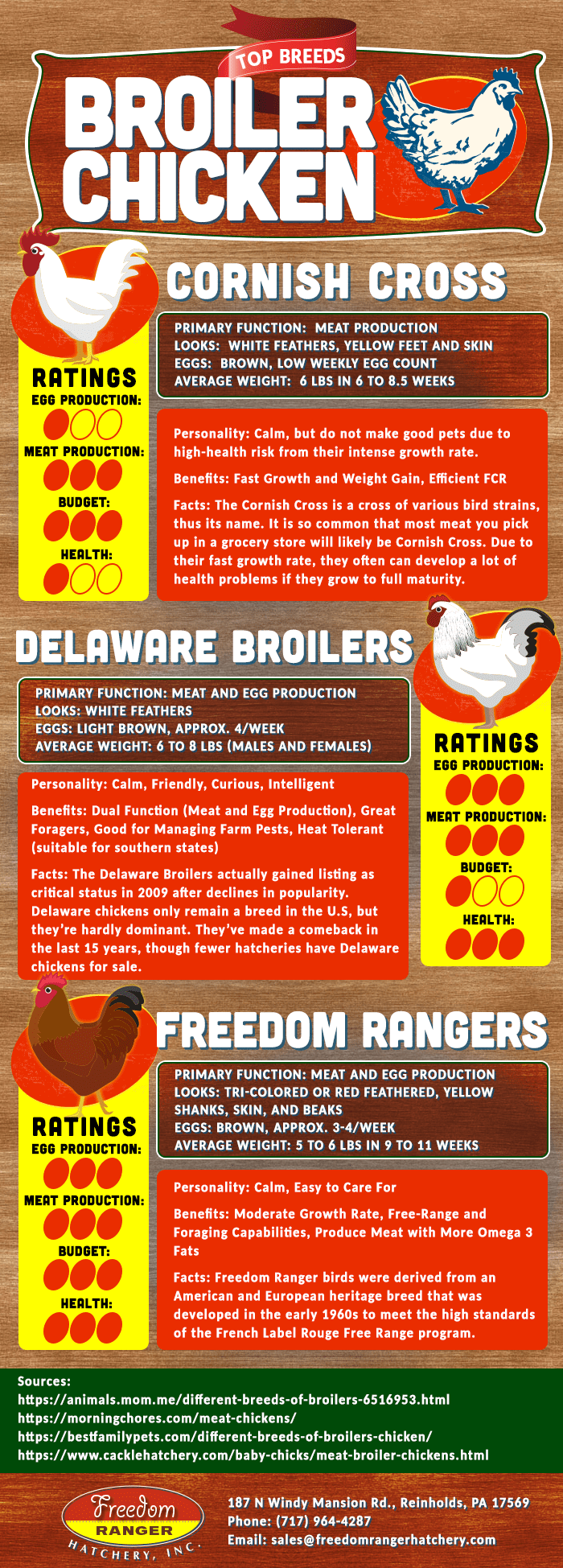 chicken infographic