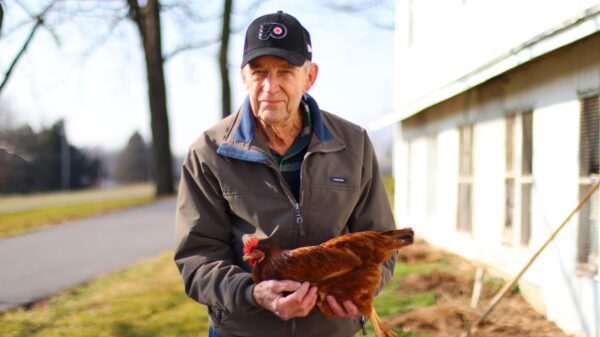 Farmer holding Rhode Island Red Chicken