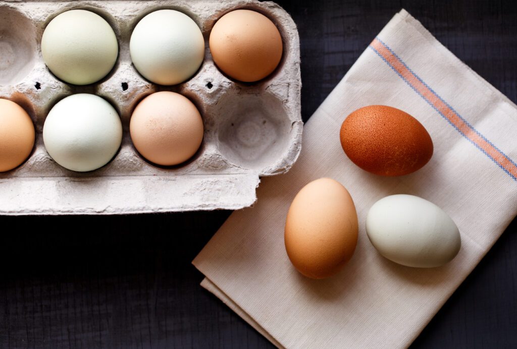 types of duck eggs