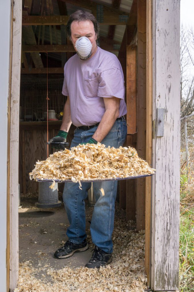 A chicken farm with a shovel of soiled shavings.