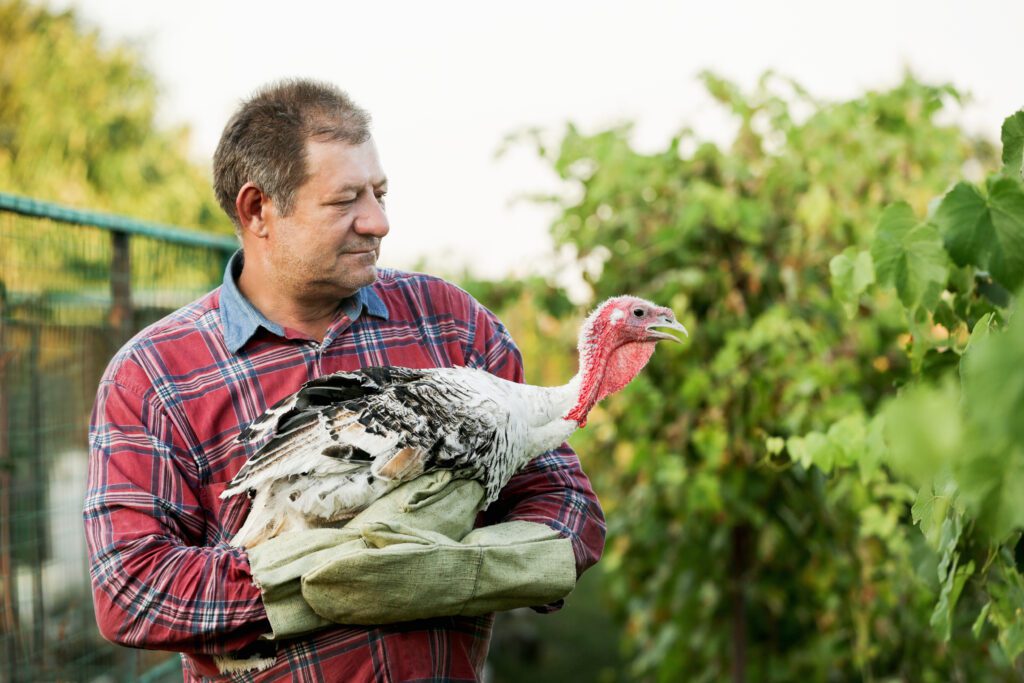 A farmer holding a turkey.