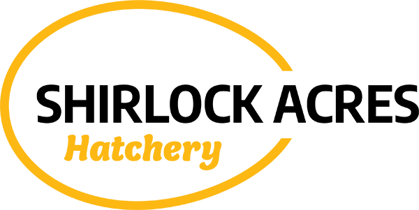 Shirlock Acres logo
